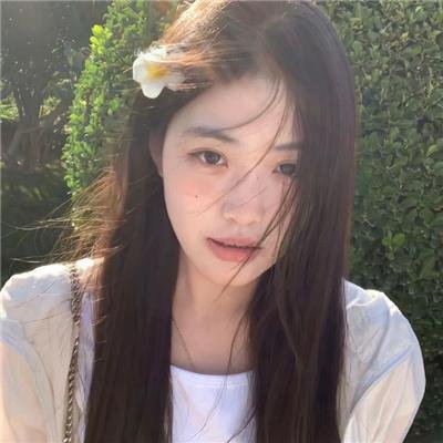 科搜研之女2022